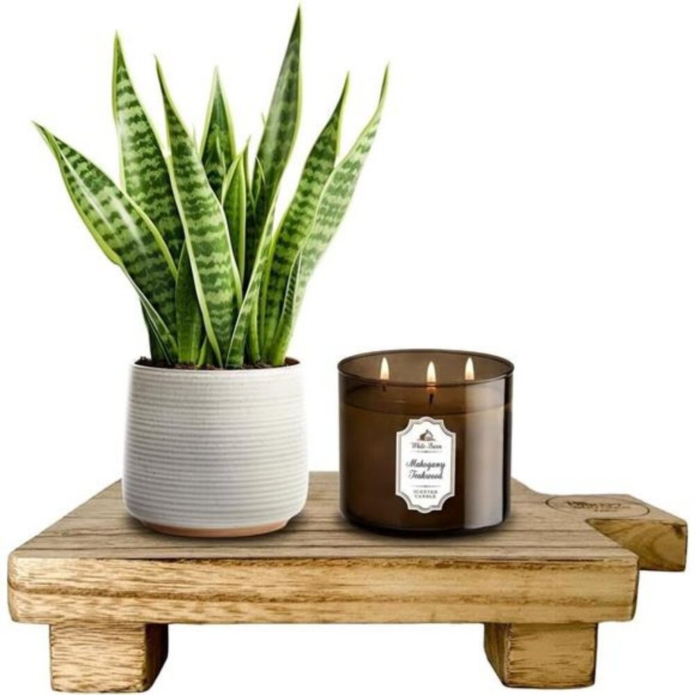 Small Wood Riser for Kitchen Counter Decor and Bathroom Counter Pedestal Stands